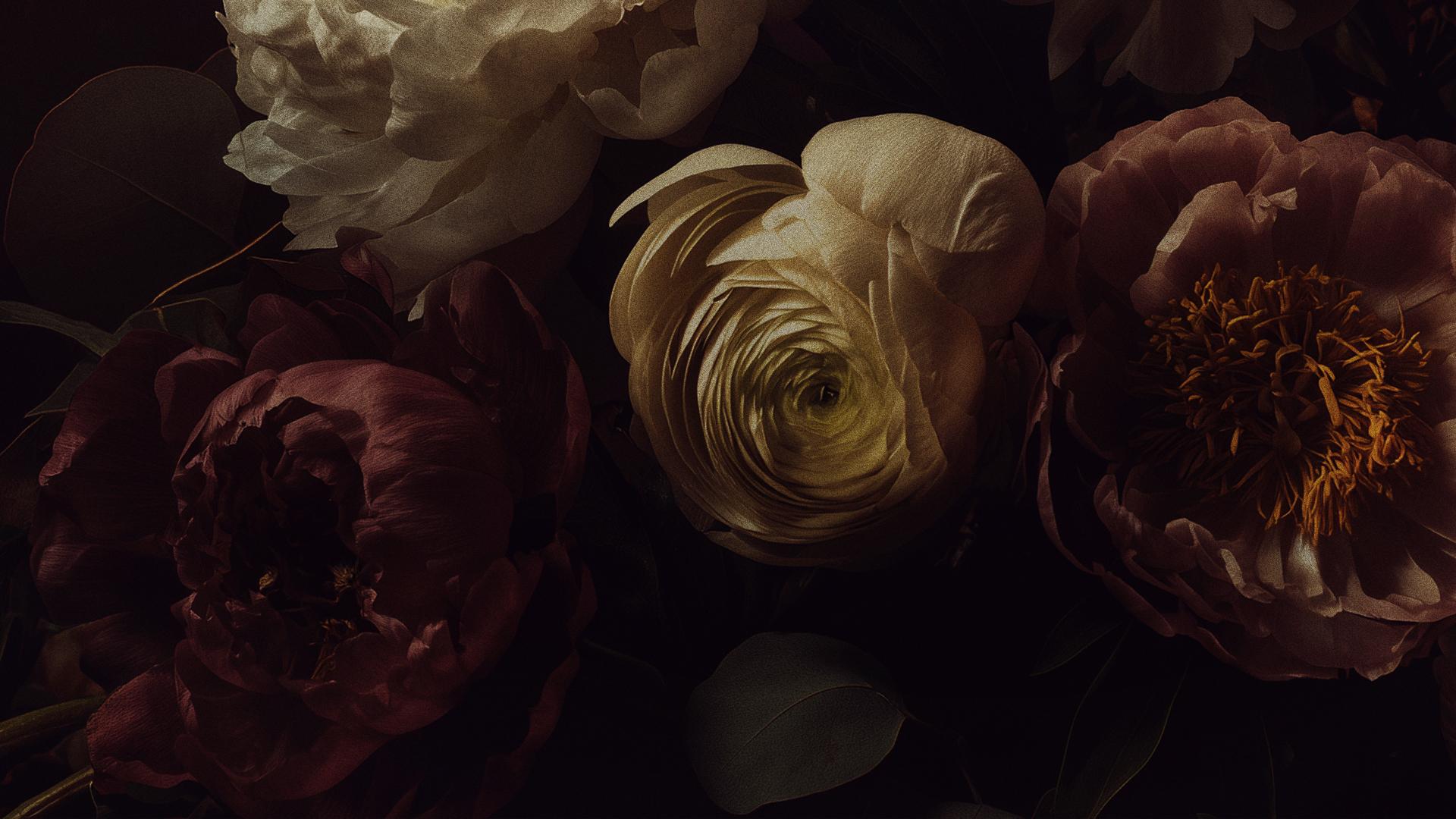 Mother's Day Collection preview 2